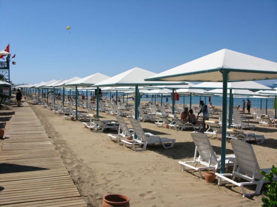 Strand PALOMA Perissia