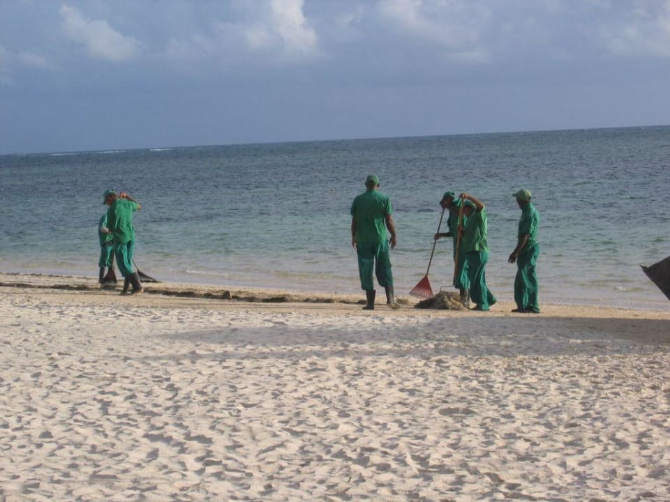 Strandreinigung Catalonia Punta Cana - All Inclusive