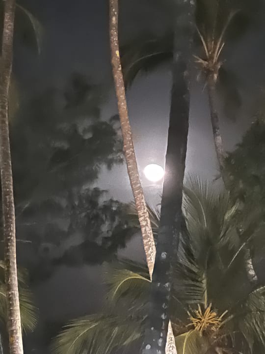 Ausblick TUI Blue Bahari Zanzibar