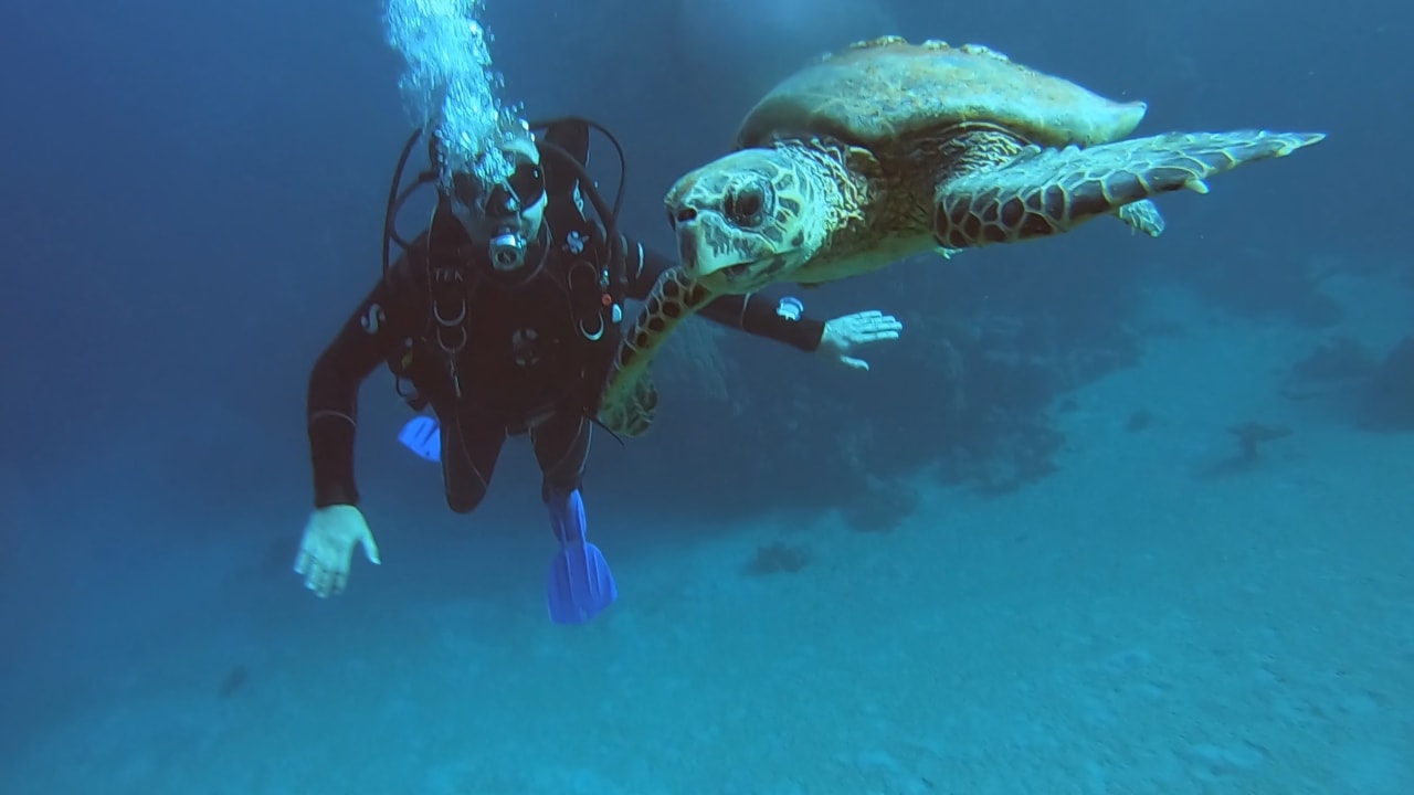 Sport & Freizeit Utopia Beach Club