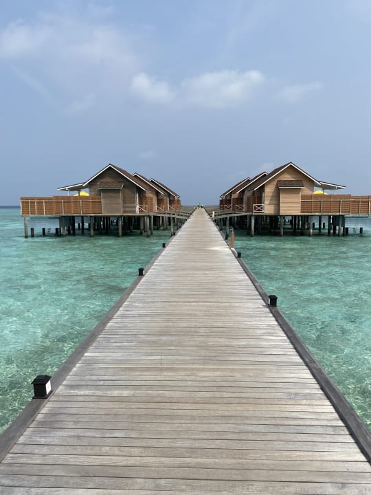Zimmer Dhigufaru Island Resort