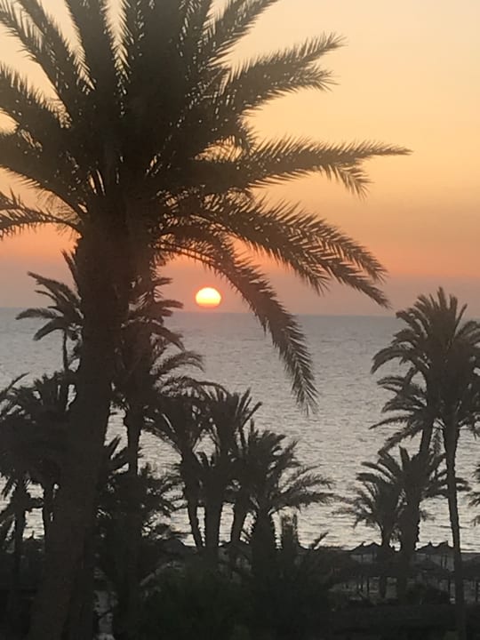 Ausblick Hotel Sangho Club Zarzis