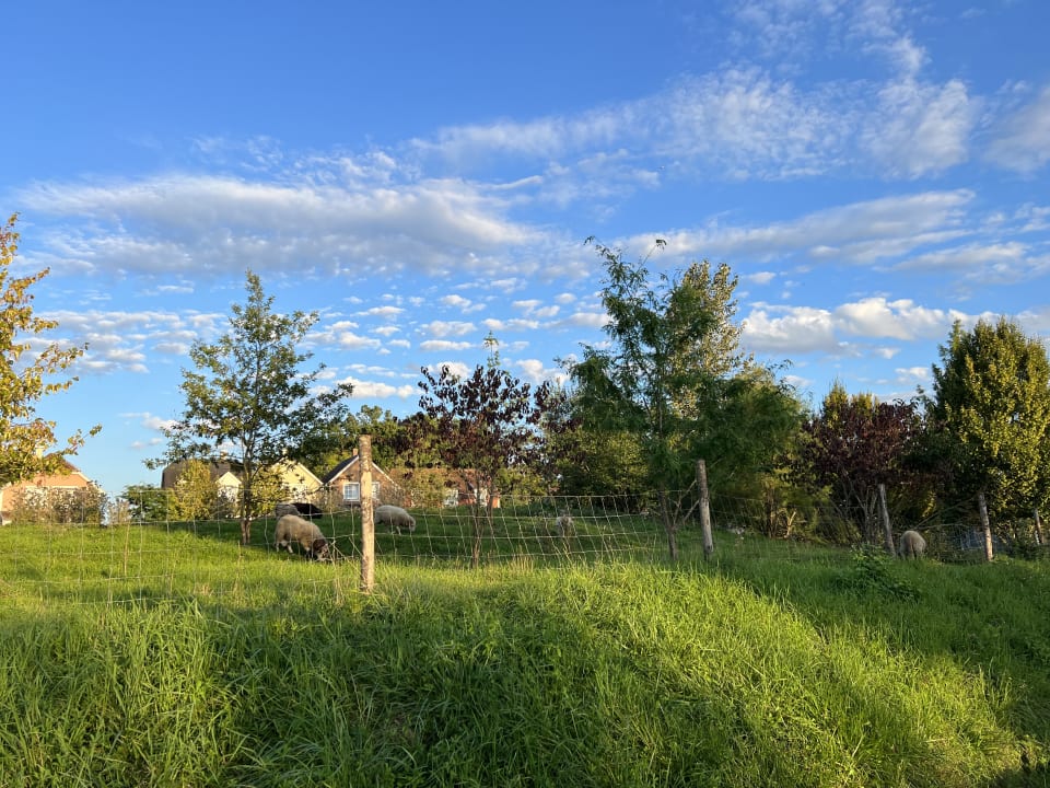 Gartenanlage Center Parcs Le Lac d'Ailette