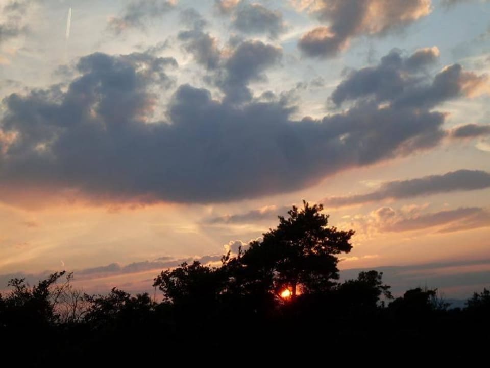 Blick zum Stadtwald Leonardo Hotel Frankfurt City South
