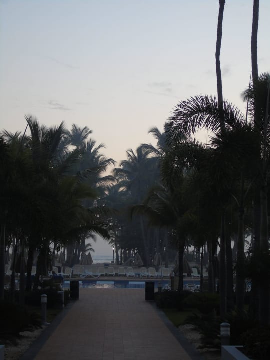 Garten Hotel Riu Palace Macao - Adults only