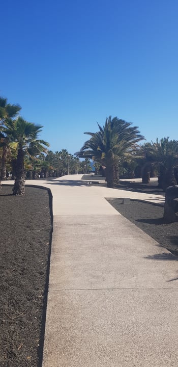 Gartenanlage Apartamentos Guacimeta