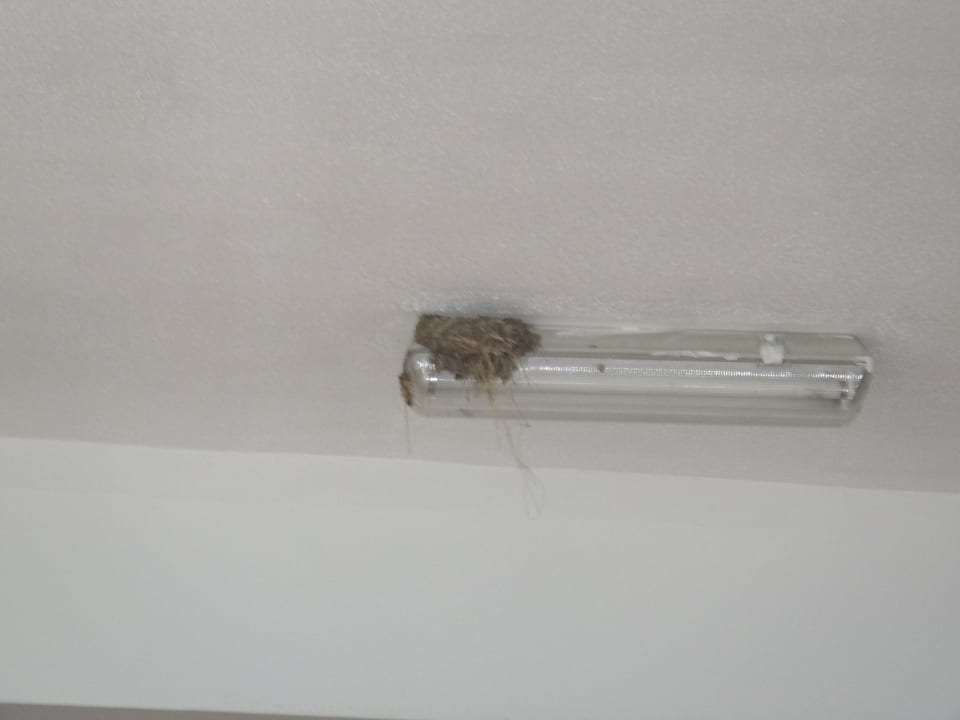 Ласточкино гнездо Elena Hotel