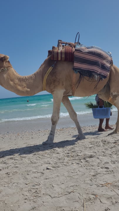 Strand Mahdia Beach & Aquapark