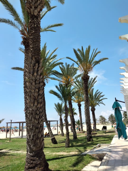 Gartenanlage Steigenberger Marhaba Thalasso Hammamet