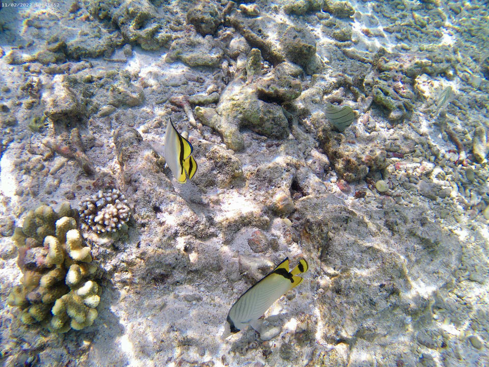 Sport & Freizeit Adaaran Select Hudhuran Fushi - Premium All Inclusive