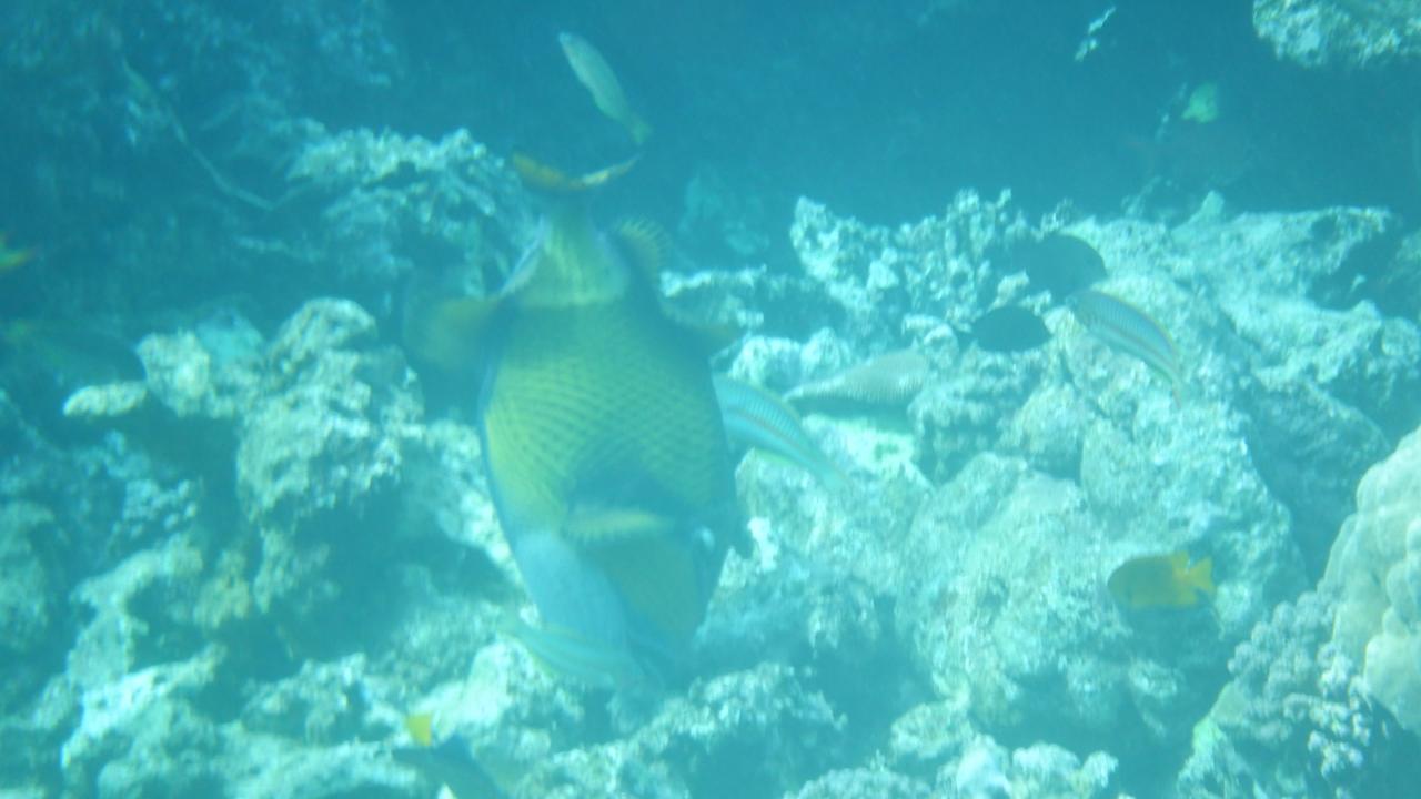 Sonstiges Casa Mare Resort