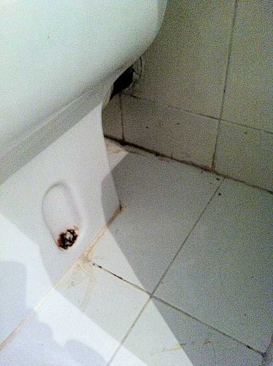 WC hat noch keinen Lappen gesehen Houda Golf & Beach Club