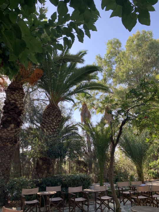 Gartenanlage Apollonia Beach Resort & Spa