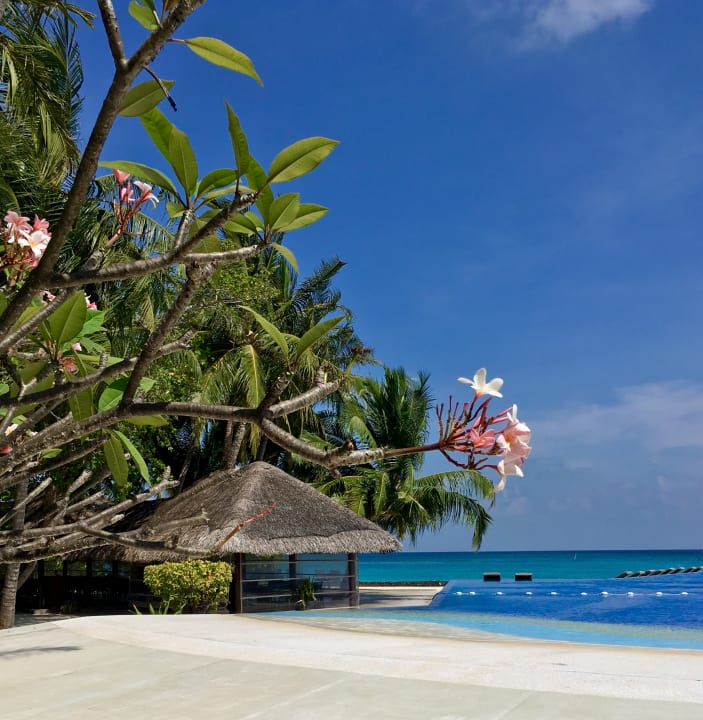 Außenansicht Kuramathi Maldives