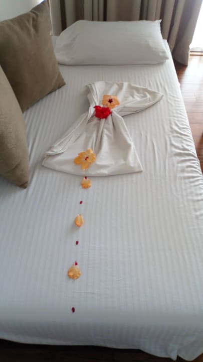 Zimmer Pandanus Beach Resort & Spa