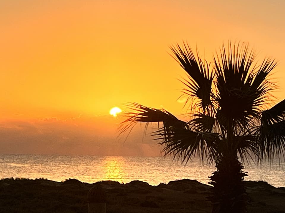 Ausblick Shams Alam Beach Resort
