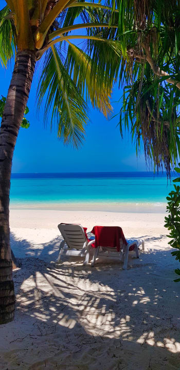 Ausblick Safari Island Maldives