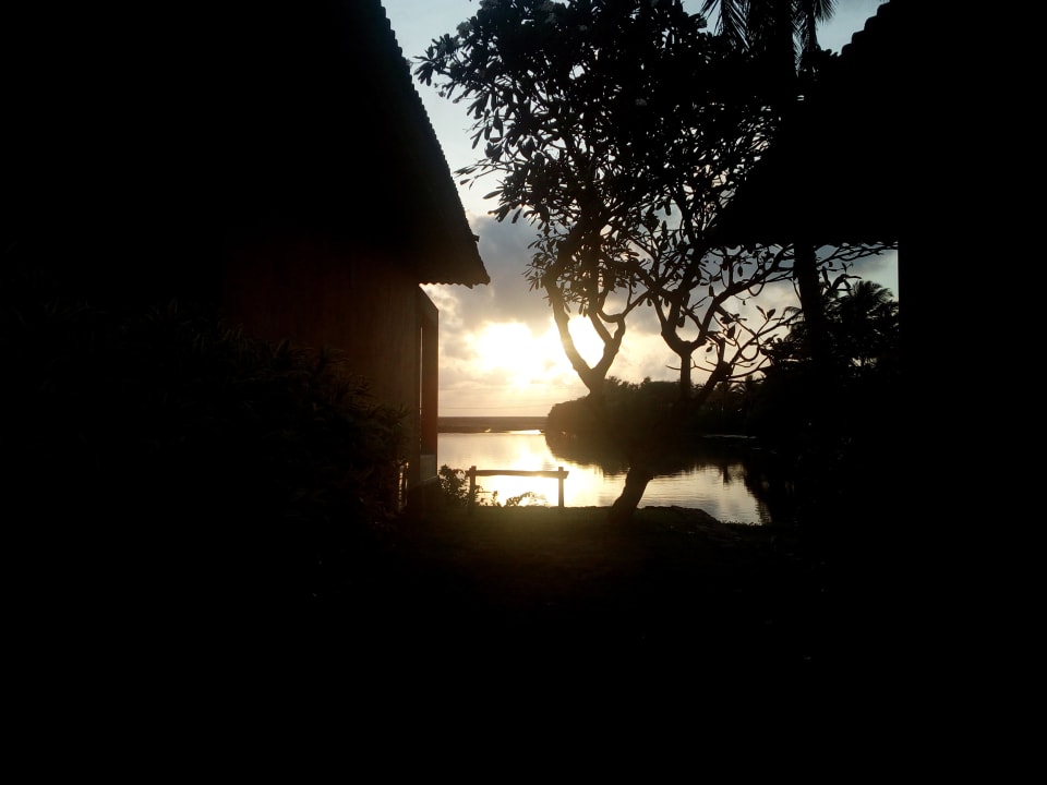 Gartenanlage Club Palm Bay