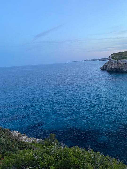 Gartenanlage blau punta reina