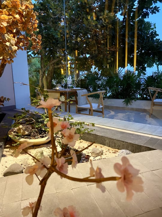 Gastro Impression Isla Mujeres by Secrets - Adults Only