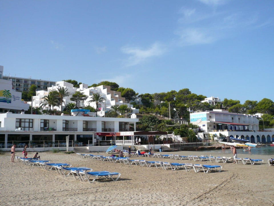 Mittagsbuffet am Strand Barceló Portinatx - Adults only