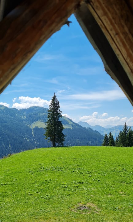 Ausblick Kinderhotel Waldhof