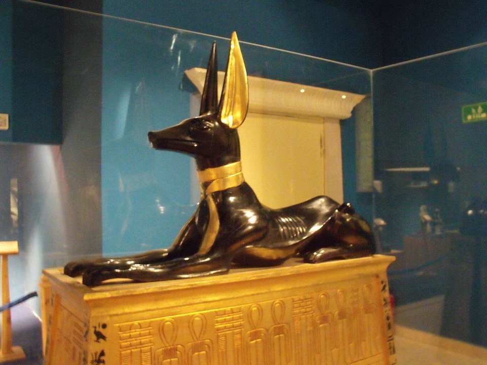 Hotelowe muzeum Pickalbatros Alf Leila Wa Leila Resort - Neverland Hurghada
