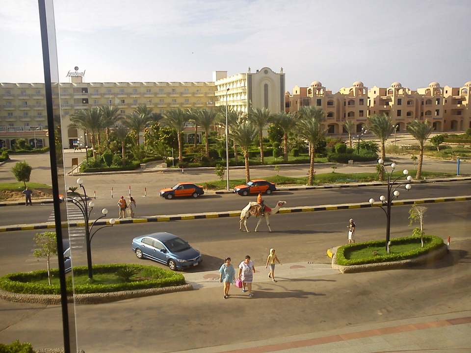 Вид на 2 корус отеля и проходящего мимо верблюда)) Riviera Aqua Park Resort