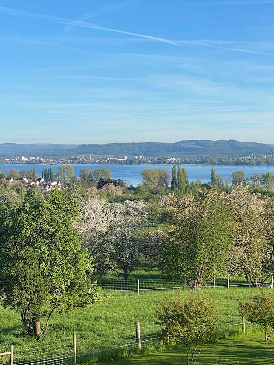 Ausblick Hotel Hirschen Horn | Refugium am See