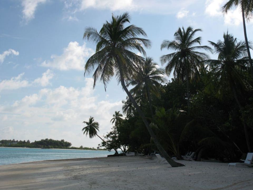 Plaża Meeru Maldives Resort Island