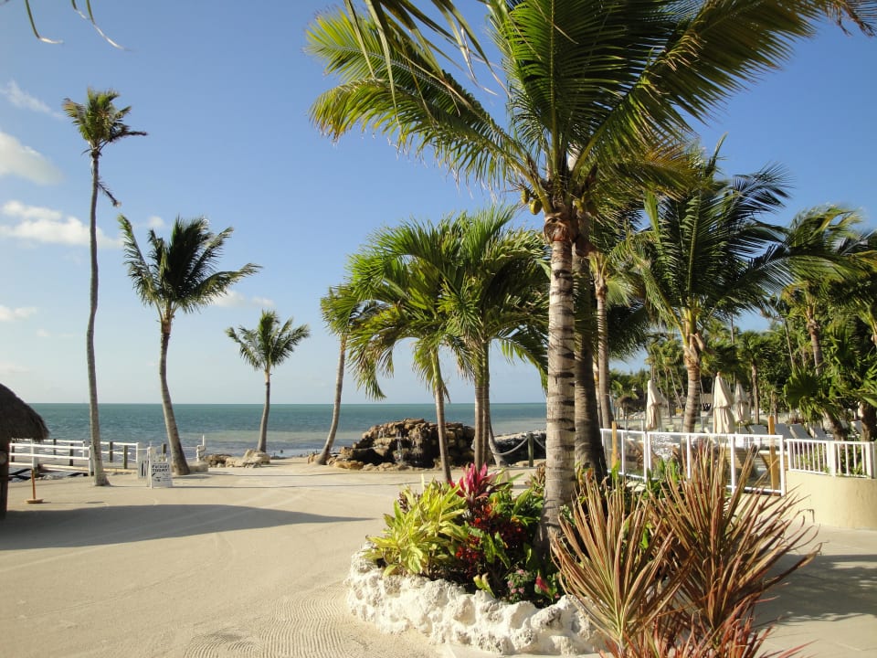 Strand Hotel Cheeca Lodge and Spa