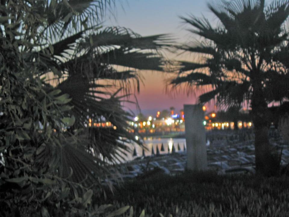 Hafen Ayia Napa vom Garten Hotel Grecian Bay