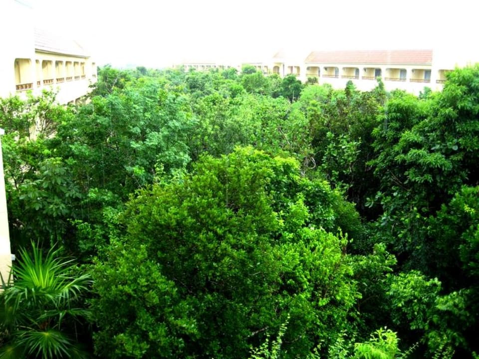 Blick vom Balkon Catalonia Royal Tulum Beach & Spa Resort - Adults only