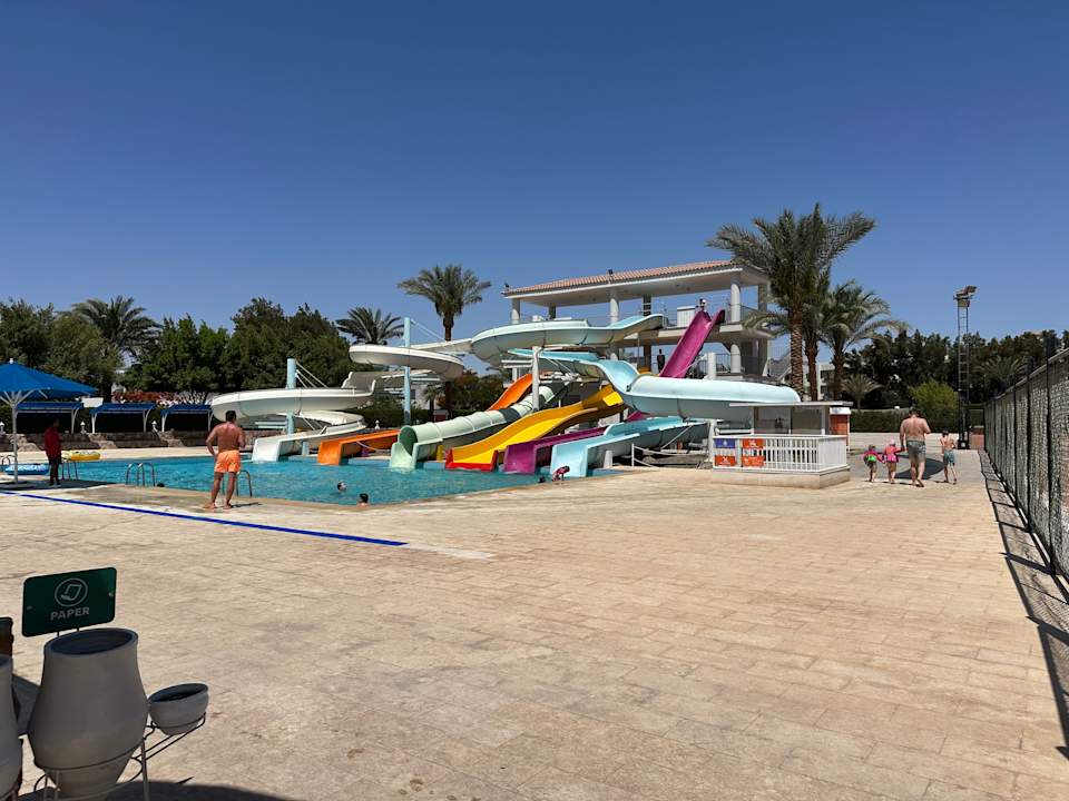 Sport & Freizeit Desert Rose