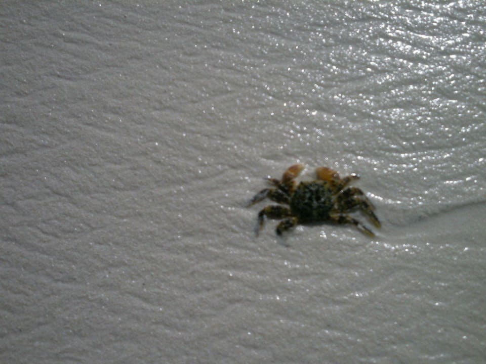 Krabbe Kuredu Island Resort & Spa