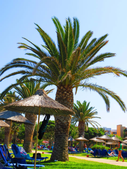 Garten beim Pool Anissa Beach & Village