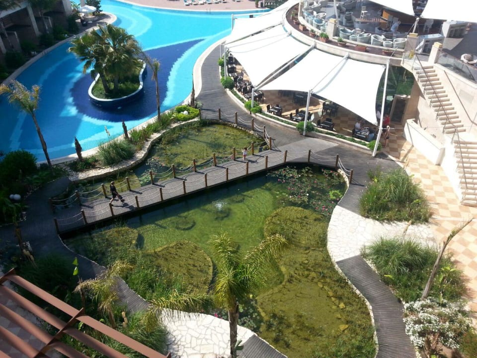 Schöner kleiner Gartenteich Paloma Pasha