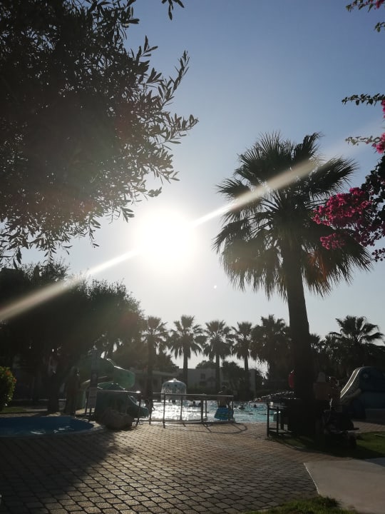 Pool TUI KIDS CLUB Alex Beach