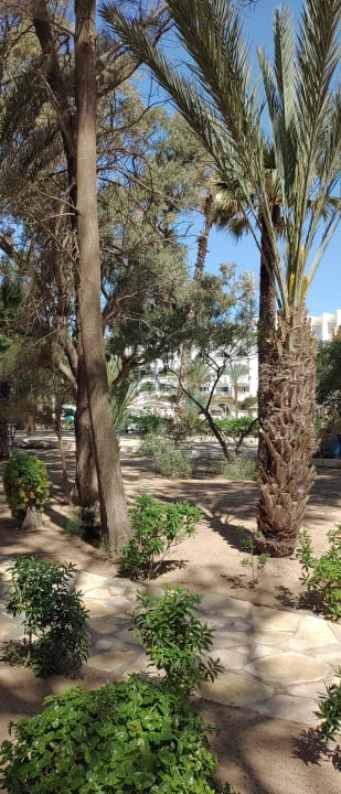 Gartenanlage Marhaba Royal Salem