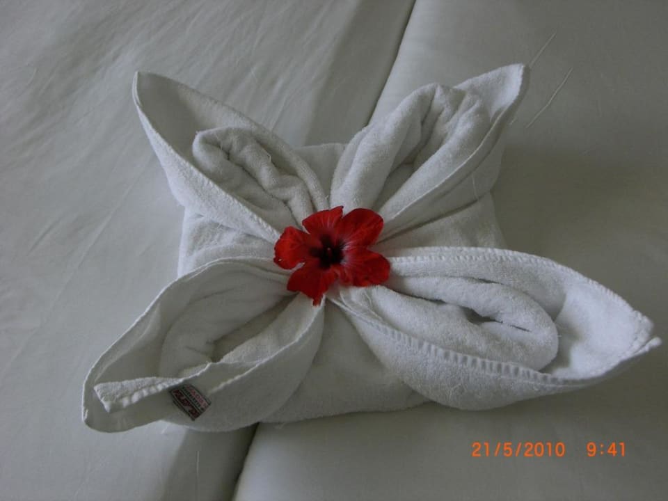 Zimmerdeko täglich neu TUI MAGIC LIFE Kalawy