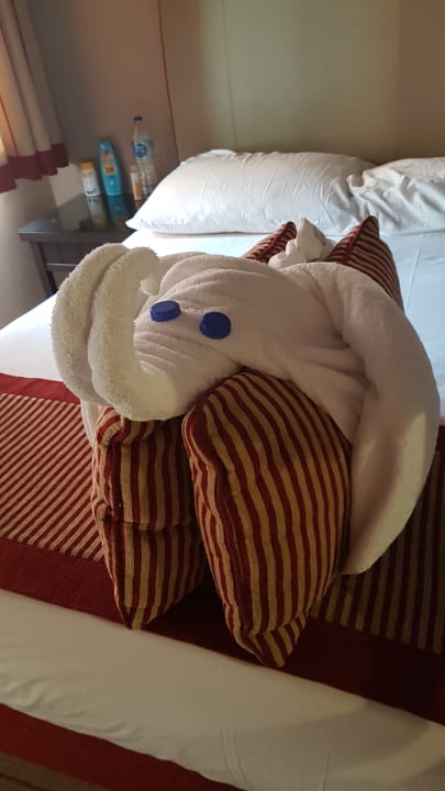 Zimmer Jaz Makadi Oasis Resort