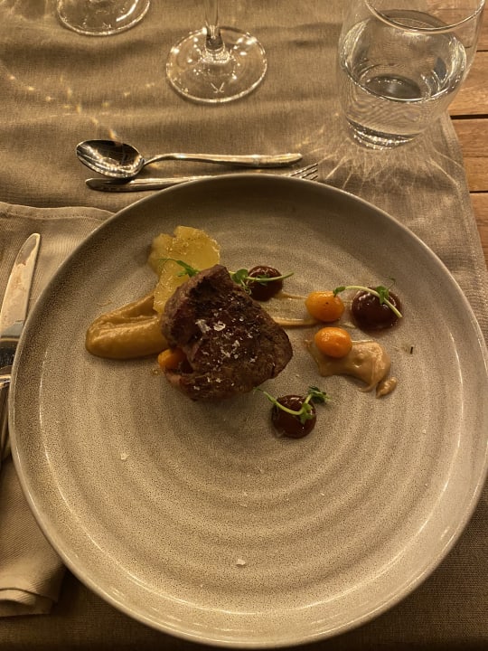 Gastro GRIFID Vistamar