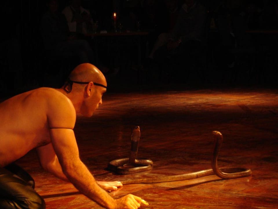 Cobra Show Sentido Akassia Beach