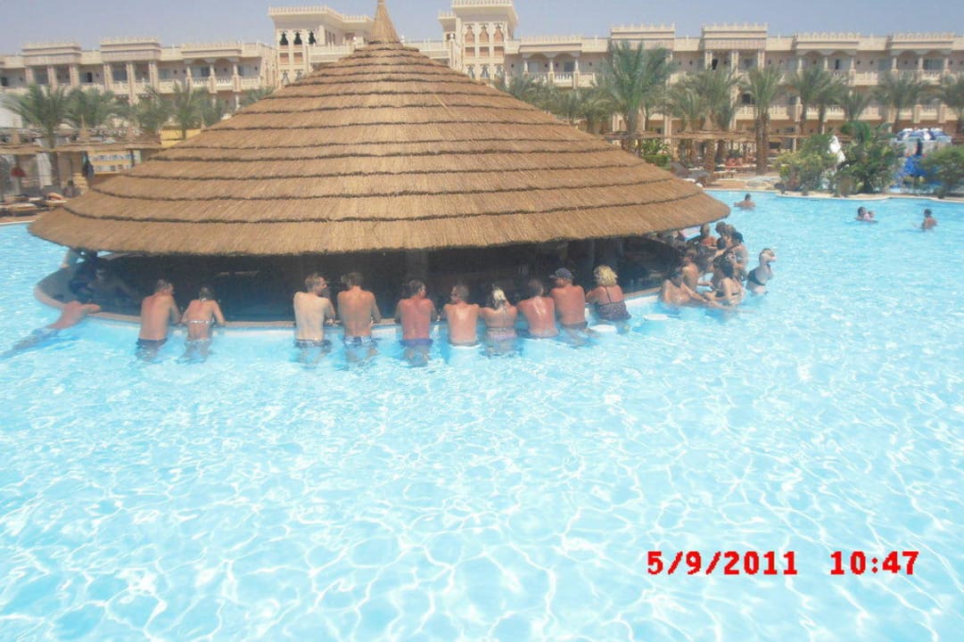 Poolbar Pickalbatros Palace Resort