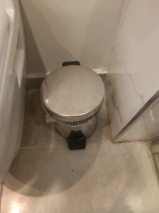 Zimmer Seashell Vega