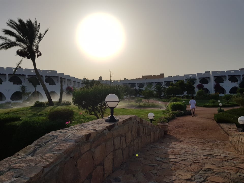 Gartenanlage Three Corners Equinox Beach Resort