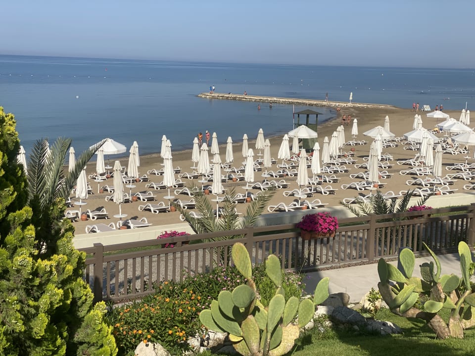 Strand PALOMA Perissia