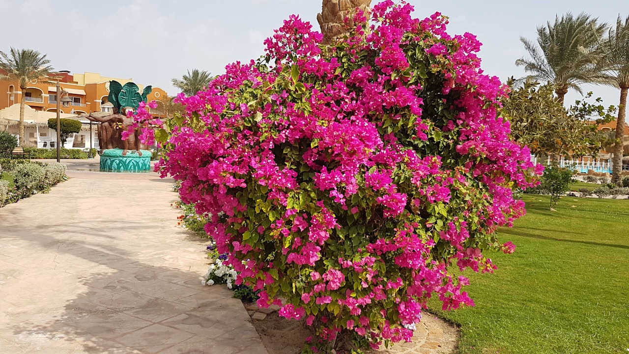 Gartenanlage Sentido Caribbean World Soma Bay