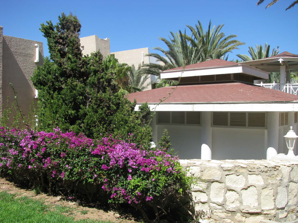 Außenansicht Dunes D'or Ocean Club