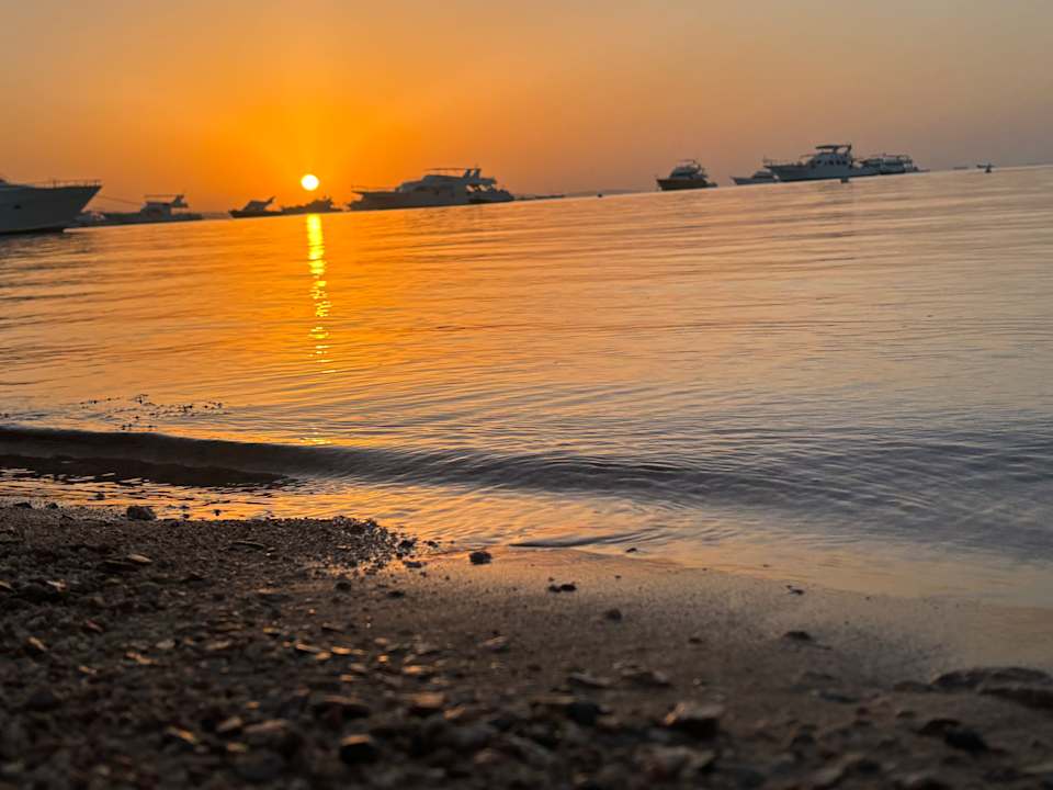 Strand The Grand Palace - Adults only